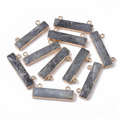 Natural Labradorite Charms X-G-S359-012B-1