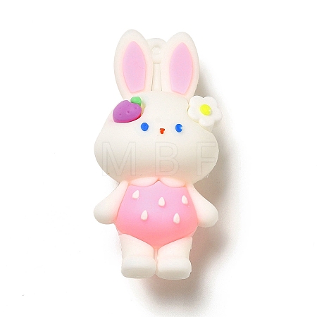 PVC Plastic Big Pendants KY-C011-01A-1