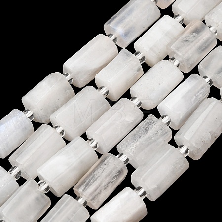 Natural Rainbow Moonstone Beads Strands G-L655-B04-01-1