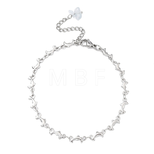 304 Stainless Steel Dolphin Link Chain Anklet AJEW-AN00559-1