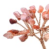 Natural Carnelian Chip Pachira Glabra Display Decorations DJEW-K025-04G-3