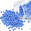 Glass Seed Beads SEED-A010-3mm-43B-1
