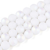 Frosted Opaque Glass Beads Strands LS-GLAA-T032-P10mm-MBB02-2