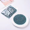 3000Pcs Glass Seed Beads SEED-PA0001-29B-03-4