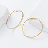 304 Stainless Steel Hoop Earrings WV2834-1