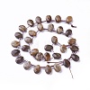 Natural Petrified Wood Beads Strands G-I246-07-2