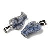 Natural Blue Spot Jasper Pendants G-B127-10P-02-3