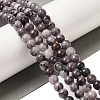 Natural Gemstone Beads Strands G-H067-A01-6MM-2