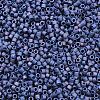 MIYUKI Delica Beads X-SEED-J020-DB2319-2