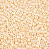 Baking Paint Pearlized Glass Seed Beads SEED-T008-03B-3