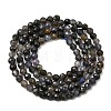 Natural Iolite Beads Strands G-G343-B01-3mm-3