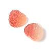 Imitation Candy Food Style Resin Cabochons RESI-R461-01F-2