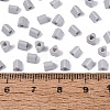 FGB Baking Paint Glass Seed Beads SEED-Q040-09A-17-4
