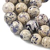 Natural Fossil Graduated Beads Strands G-F830-A03-01D-5