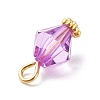Transparent Acrylic Pendants PALLOY-JF01834-04-5