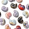 18Pcs 6 Colors Handmade Porcelain Beads for DIY Bracelet Accessories PORC-FS0001-24-2