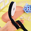 10 Yards Polyester Velvet Ribbon OCOR-TA0004-13F-6