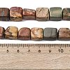 Natural Picasso Stone/Polychrome Jasper Beads Strands G-D098-D02-5