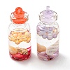 Translucent Resin Pendants RESI-D067-01I-2