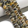 Natural Black Lip Shell Beads Strands BSHE-G038-04-2