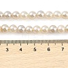 Electroplated Natural Freshwater Shell Beads Strands BSHE-G036-22-4