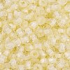 Glass Seed Beads SEED-A032-05I-3