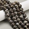 Natural Astroite Jasper Beads Strands G-F814-A01-10mm-1