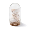 Glass Dome Bottle Display Decorations AJEW-JD00008-02-1
