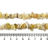 Natural Yellow Opal Chip Beads Strands G-G905-15-5
