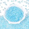 Transparent Colours Glass Seed Beads SEED-Q042-01A-A08-2