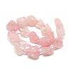 Natural Rose Quartz Beads Strands G-R421-17-2