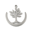 304 Stainless Steel Pendants STAS-V016-21P-1