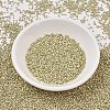 MIYUKI Delica Beads SEED-JP0008-DB1831F-2