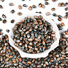 Glass Seed Beads SEED-T009-02F-1