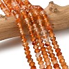 Natural Banded Agate Beads Strands G-D344-A34-03-1