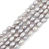 Natural Cultured Freshwater Pearl Beads Strands PEAR-P064-20E-04E-2