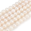 Natural Cultured Freshwater Pearl Beads Strands PEAR-I007-07X-04A-2