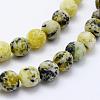 Natural Yellow Turquoise(Jasper) Beads Strands G-F518-25-8mm-3