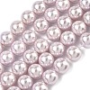 Electroplated Shell Pearl Beads Strands BSHE-G041-10mm-06-1
