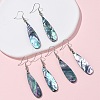 Brass Abalone Shell Dangle Earrings EJEW-C161-01A-1