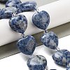 Natural Blue Spot Jasper Beads Strands G-C150-A27-01-1