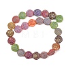Painted Glass Beads Strands GLAA-F133-07C-2