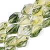 Handmade Lampwork Beads Strands LA-N046-02F-1