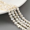Natural Cultured Freshwater Pearl Beads Strands PEAR-A006-03C-2