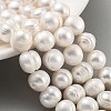 Natural Cultured Freshwater Pearl Beads Strands PEAR-C003-21B-2