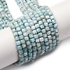 Natural Larimar Beads Strands G-F803-C01-02-2