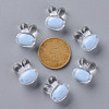 Transparent Acrylic Beads TACR-S152-05A-SS2113-3