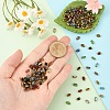 30Pcs Electroplate Glass Beads EGLA-YW0005-16A-5
