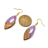 Two Tone Resin & Walnut Wood Horse Eye Dangle Earrings EJEW-JE05504-05-2