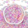 Transparent Colours Glass Seed Beads X-SEED-P008-01B-09-3